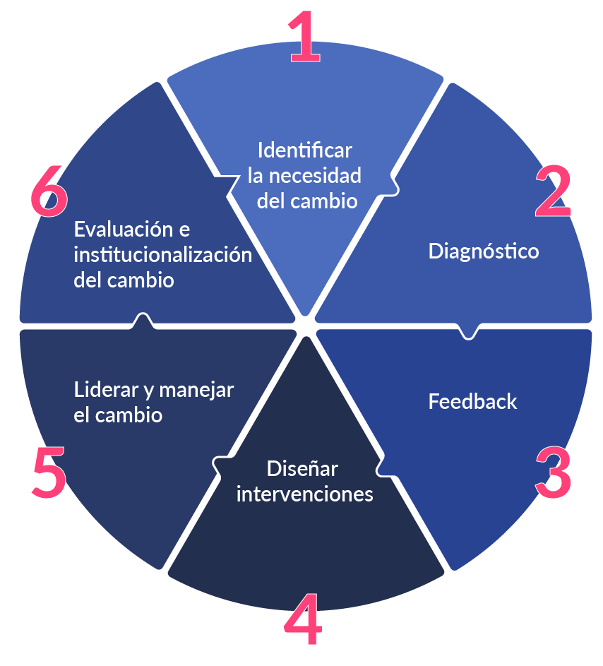 Rueda que explica en resumen el desarrollo organizacional.